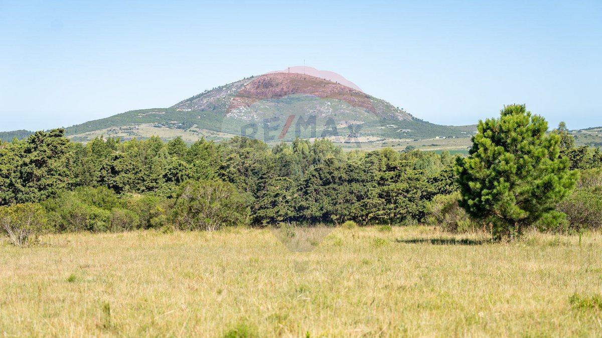 Foto de Chacra en venta en las sierras - Oportunidad !!, imagen 4