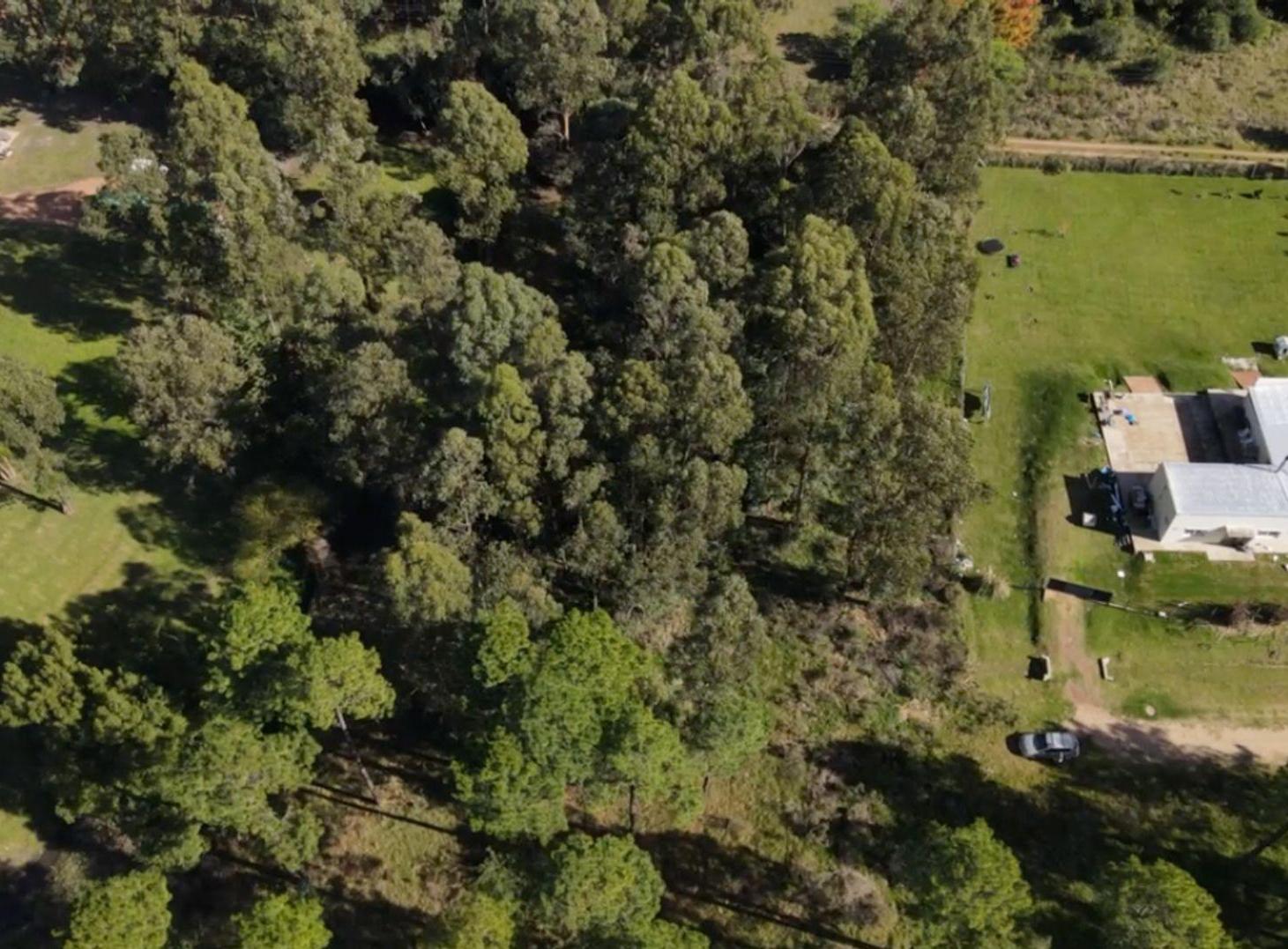Foto de TERRENO EN VENTA - CHACRAS DEL PINAR, imagen 1