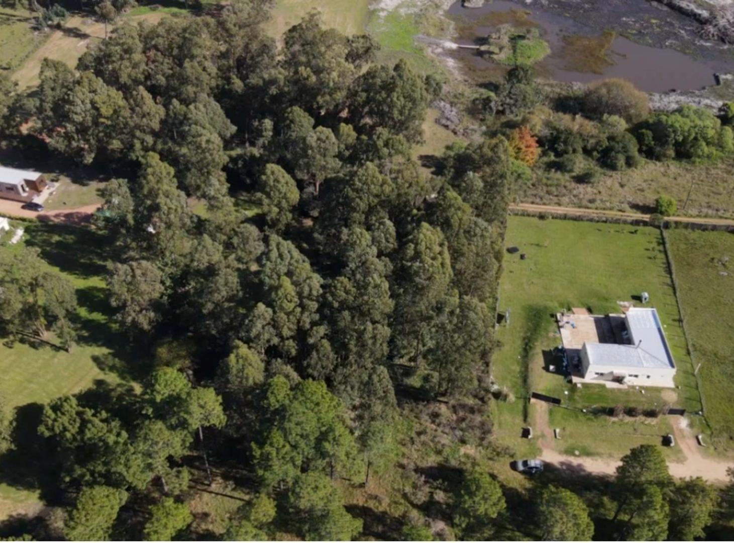 Foto de TERRENO EN VENTA - CHACRAS DEL PINAR, imagen 4