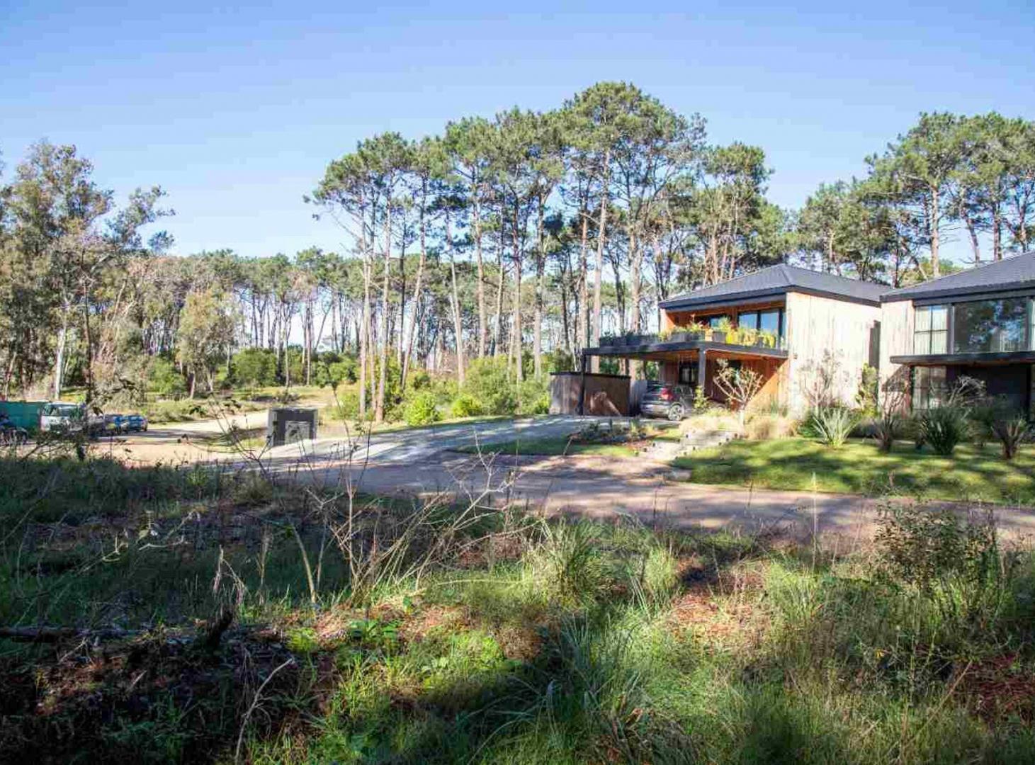 Foto de Venta terreno Reserva Montoya, imagen 2