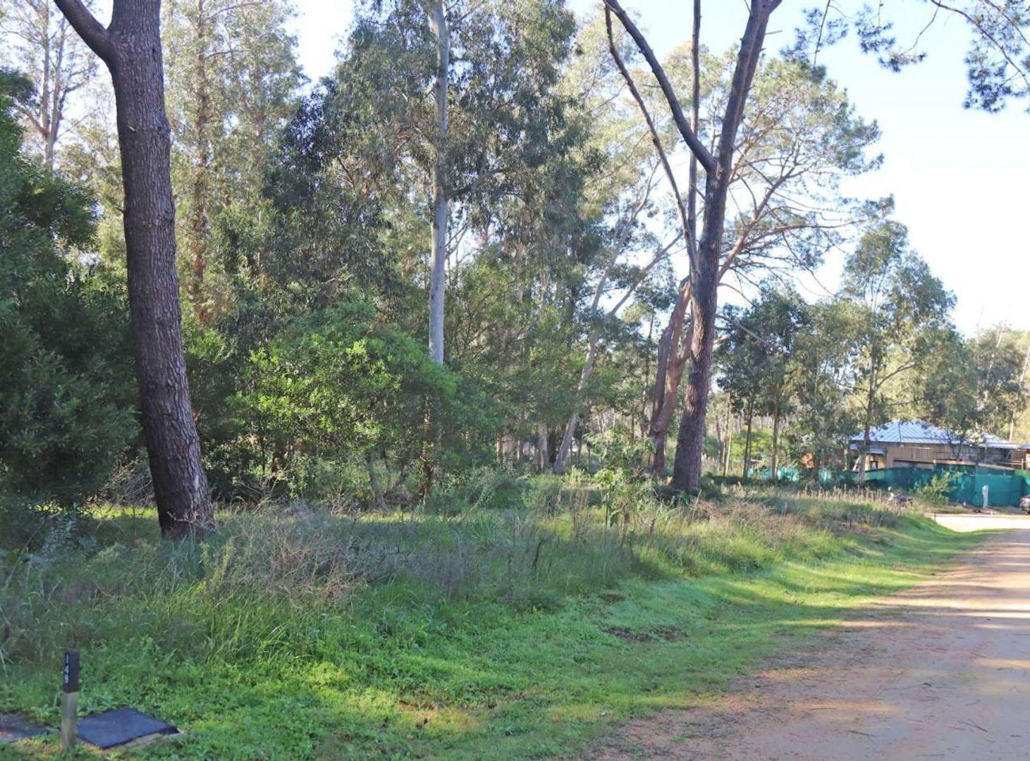 Foto de Venta terreno Reserva Montoya, imagen 3