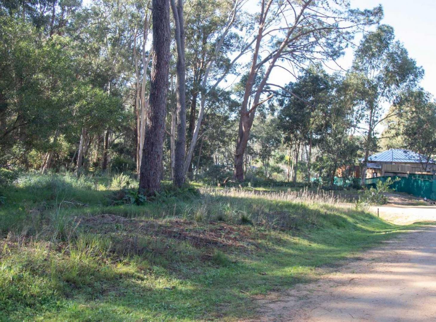 Foto de Venta terreno Reserva Montoya, imagen 1