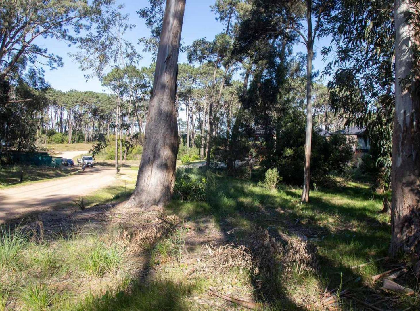 Foto de Venta terreno Reserva Montoya, imagen 4