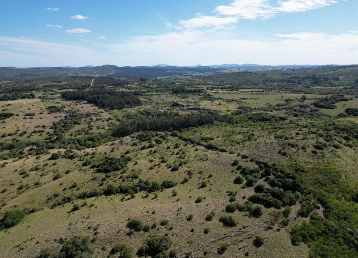Foto de Campo en venta. Zona Pueblo Edén, imagen 2
