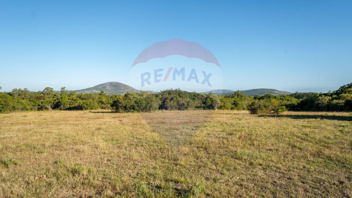 Foto de Chacra en venta Las Flores - Lanzamiento, imagen 3