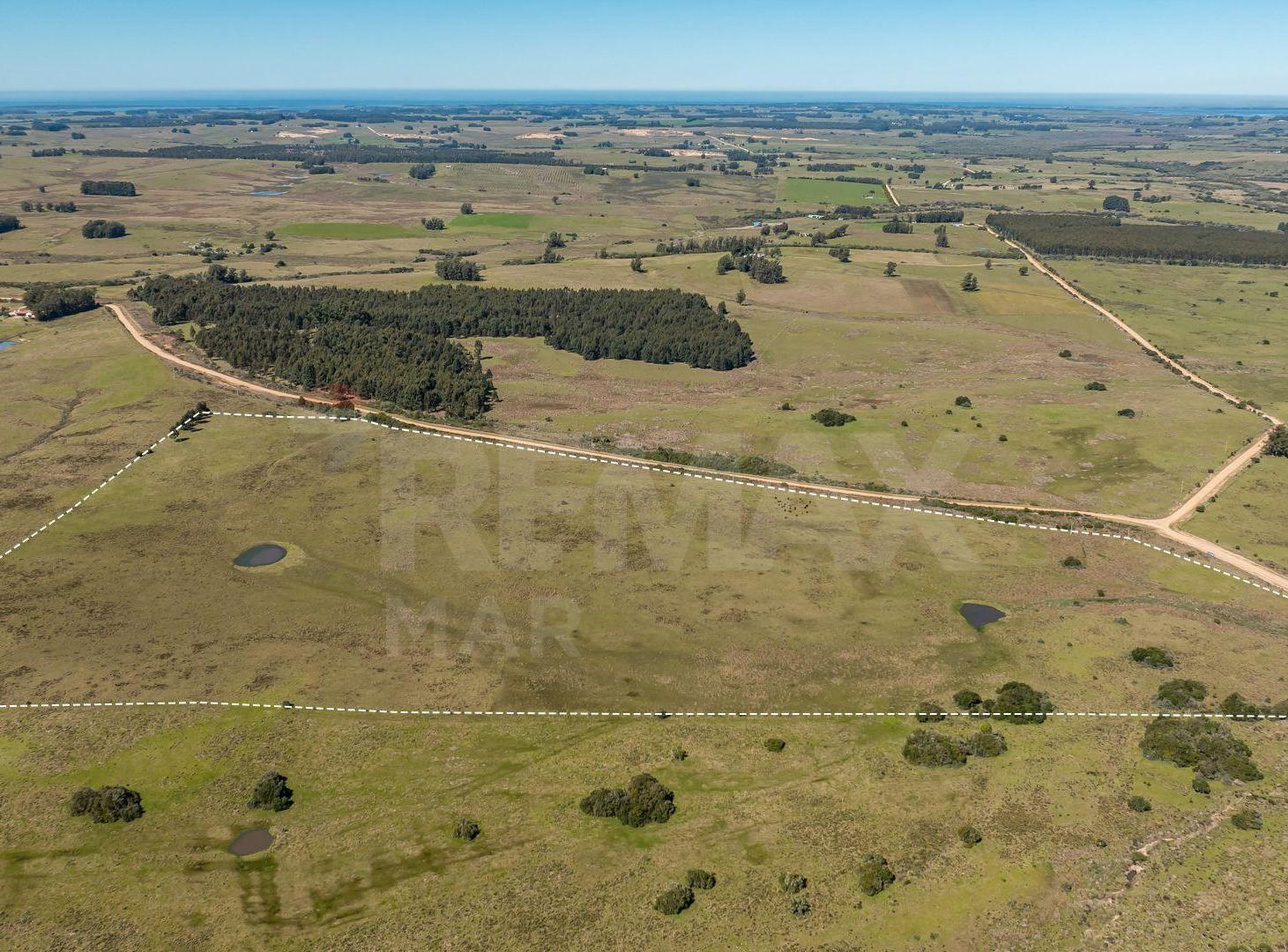 Foto de Chacra en venta José Ignacio Campo en Oportunidad!, imagen 3