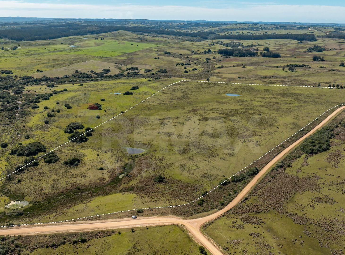 Foto de Chacra en venta José Ignacio Campo en Oportunidad!, imagen 4