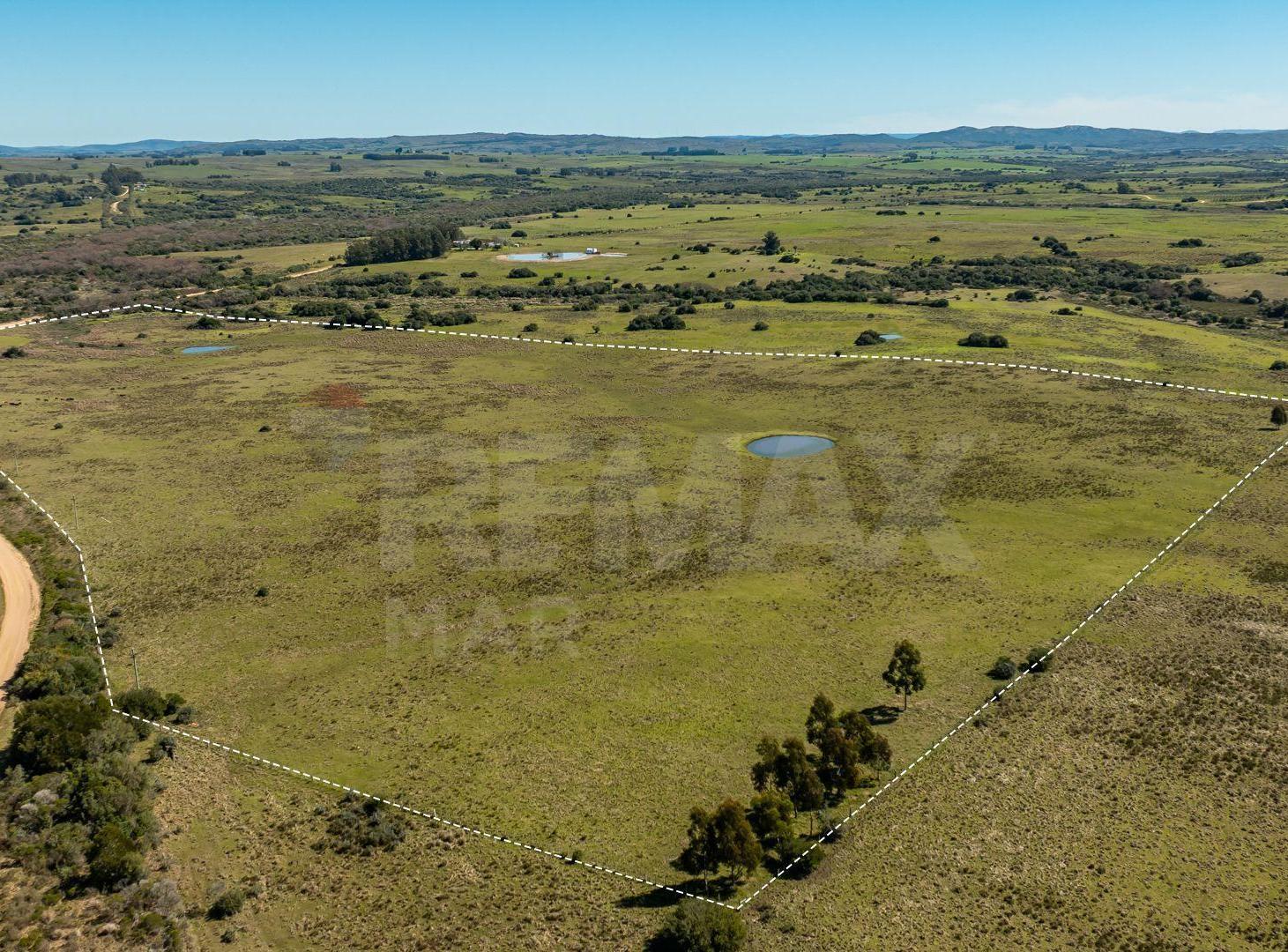 Foto de Chacra en venta José Ignacio Campo en Oportunidad!, imagen 2