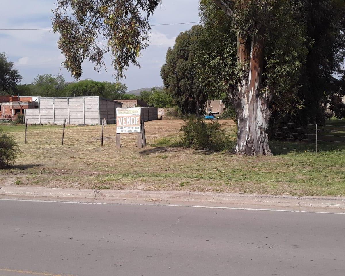 Foto de LOTE PARA APROVECHAR EN LA ENTRADA DEL PUEBLO, imagen 5