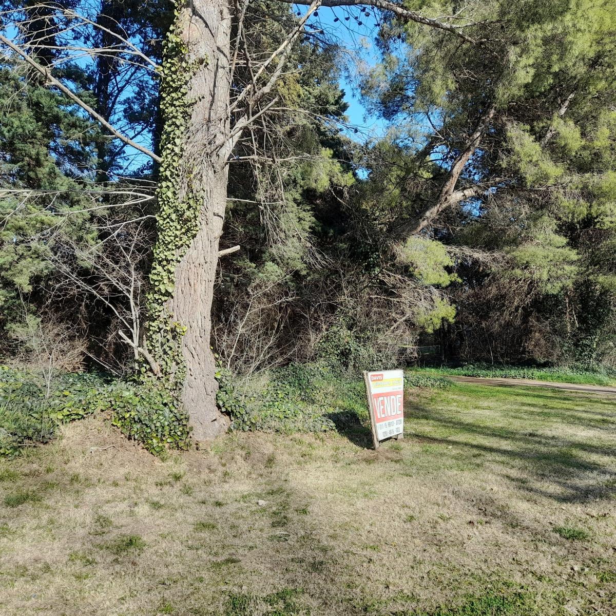 Vendo 2.7 Hectáreas Frente Al Río, Ideal Para Lo Que Necesite! 1
