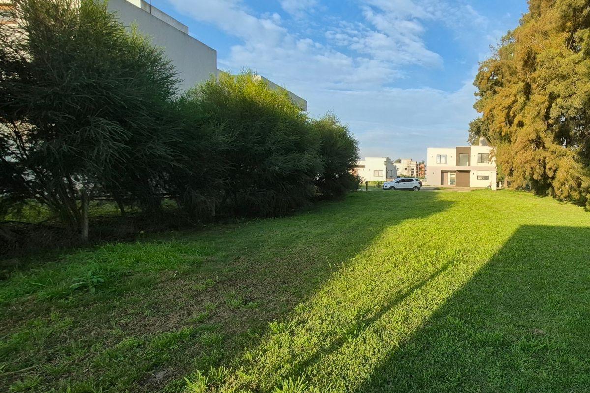 Foto de Lote en venta en Fincas de Álvarez. Posibilidad de financiación, imagen 5