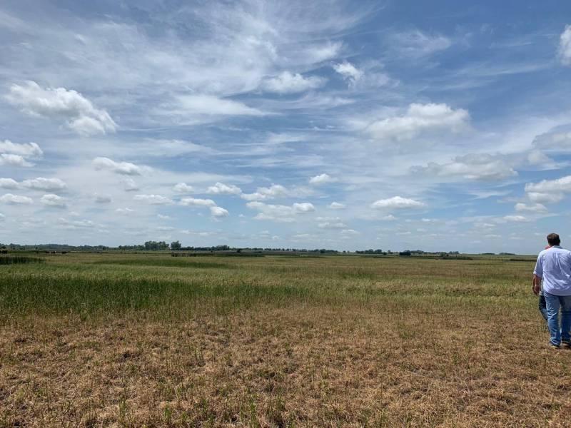Campo 180 hectáreas en Venta en Lima, Zárate, G.B.A. Zona Norte