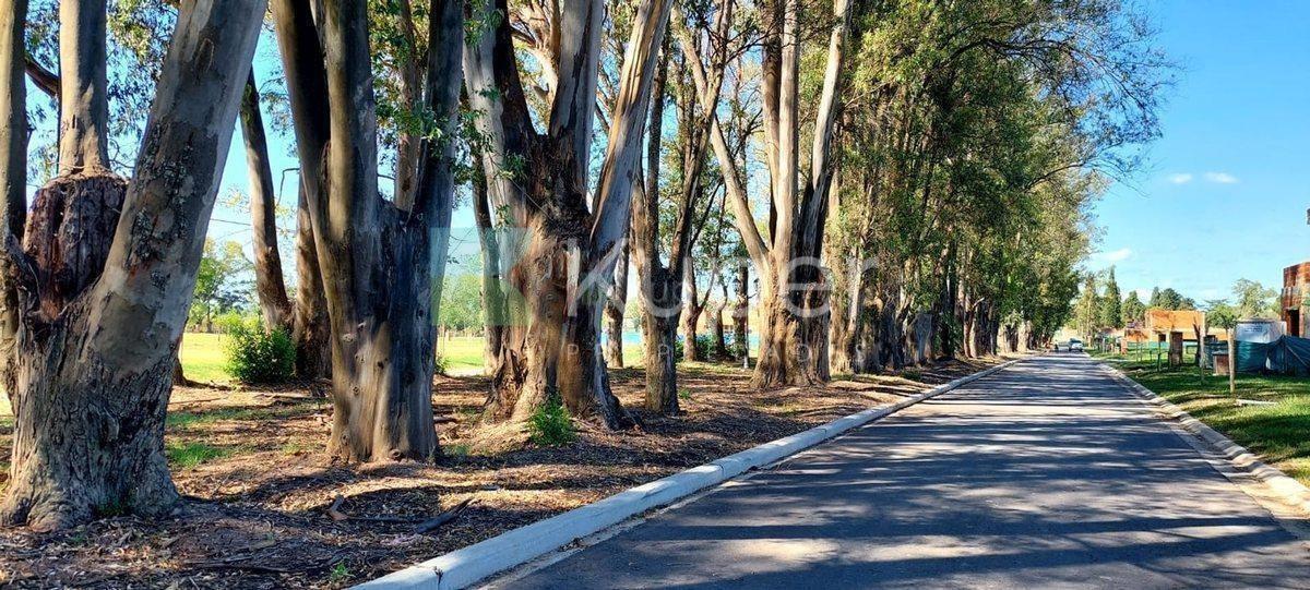 Terreno Lote en Venta en Santa Sofía, Pilar del Este, Pilar