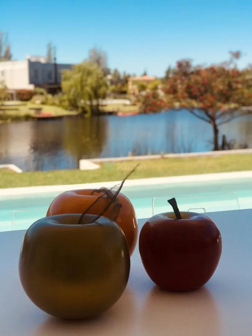 Casa Chalet en Venta en La Alameda, Nordelta, Tigre 1