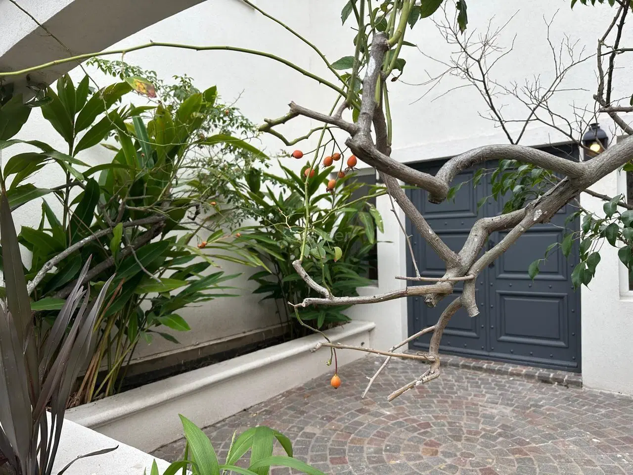 Casa en Venta en Laguna del Sol, General Pacheco, Tigre 3
