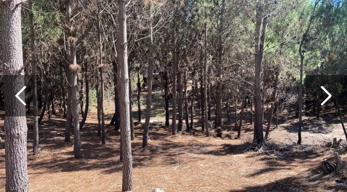 Terreno Lote  en Venta en Marítimo III, Costa Esmeralda, Costa Atlántica 2
