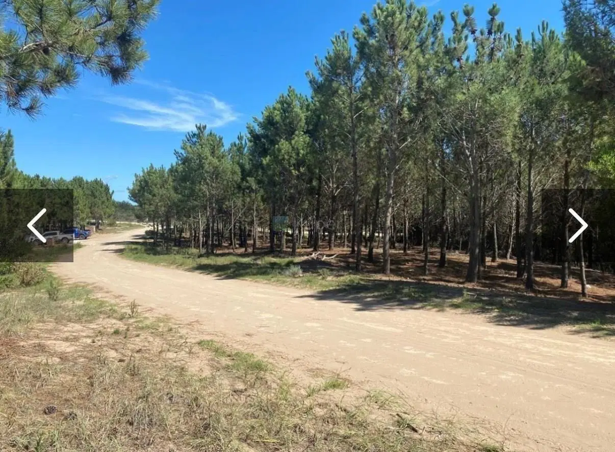 Terreno Lote  en Venta en Maritimo II, Costa Esmeralda, Costa Atlántica 5