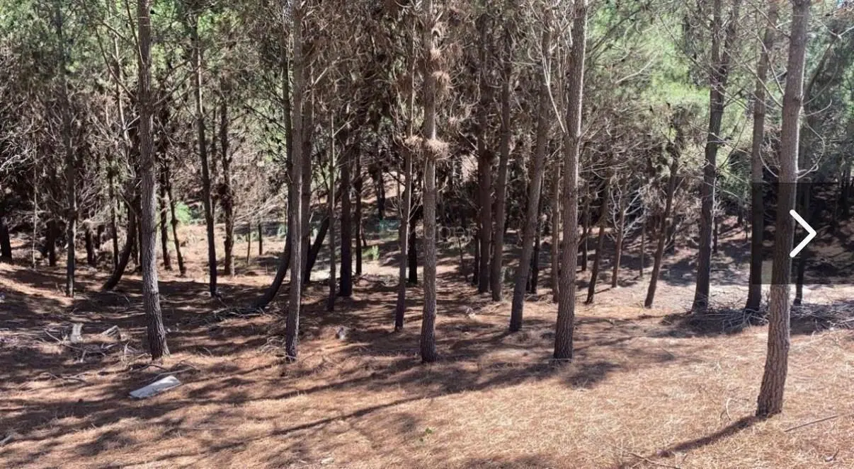 Terreno Lote  en Venta en Maritimo II, Costa Esmeralda, Costa Atlántica 4