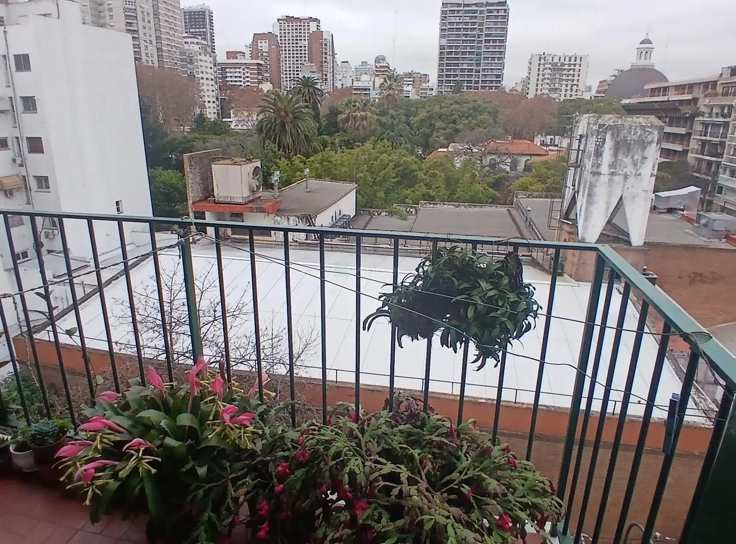 Departamento  en Alquiler en Belgrano, Capital Federal, Buenos Aires 3