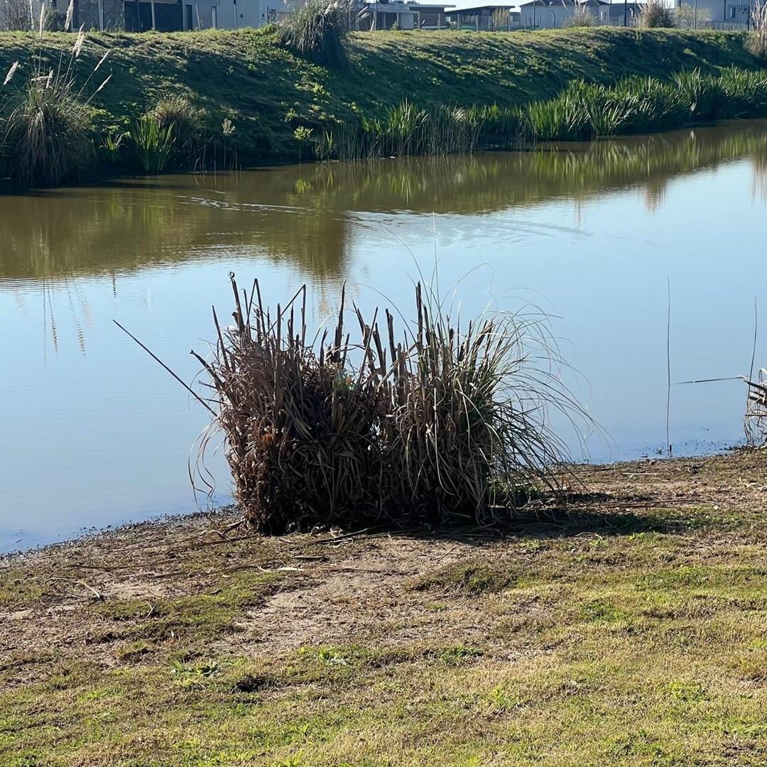 Foto de Terreno Lote en Venta en El Cantón Golf, El Cantón, Escobar, imagen 2