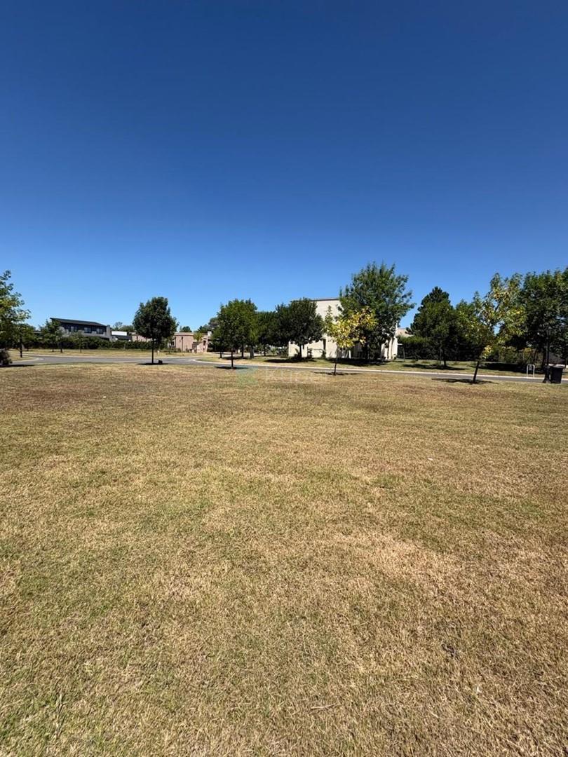 Foto de Terreno Lote en Venta en San Alfonso, Pilar del Este, Pilar, imagen 3
