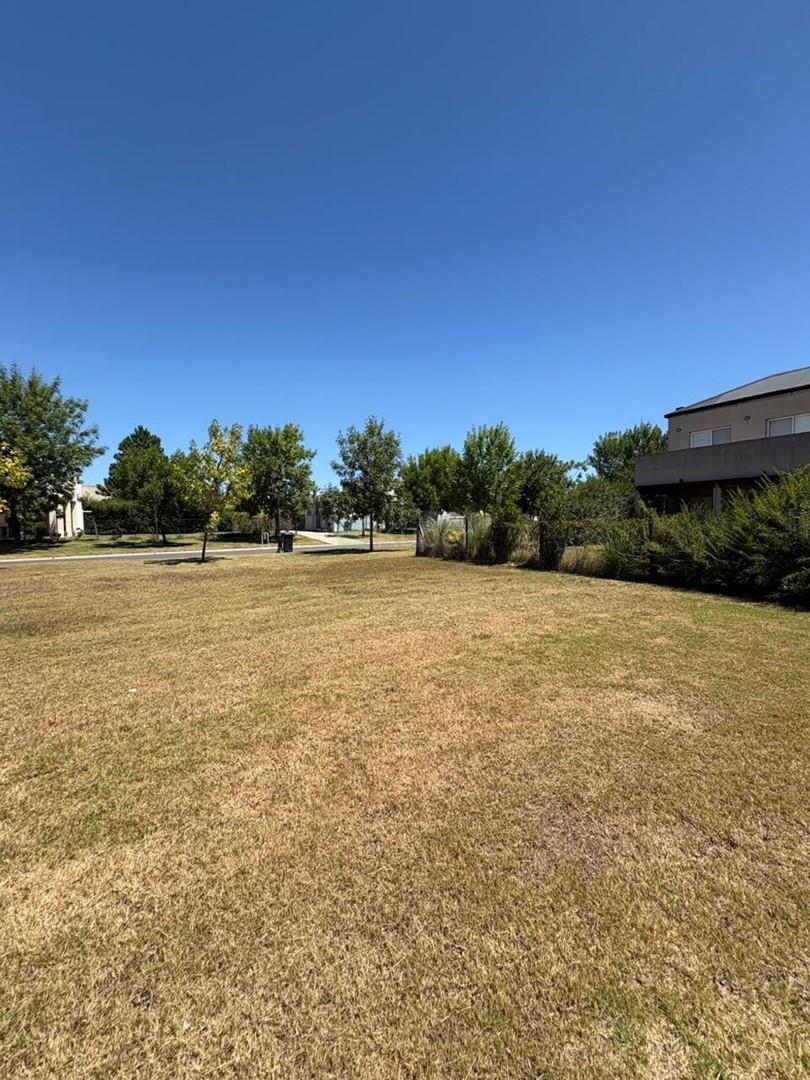Foto de Terreno Lote en Venta en San Alfonso, Pilar del Este, Pilar, imagen 1