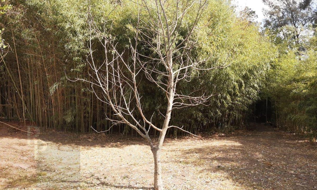 Lote - 724 m2 - La Bota - Pallotta Propiedades