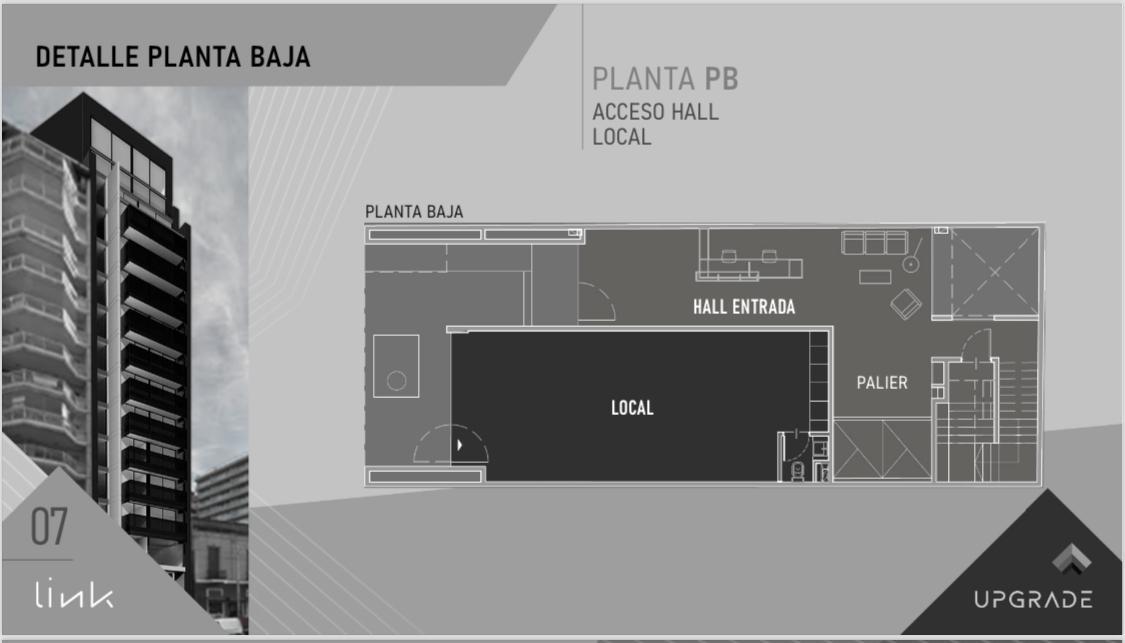 Plano 6