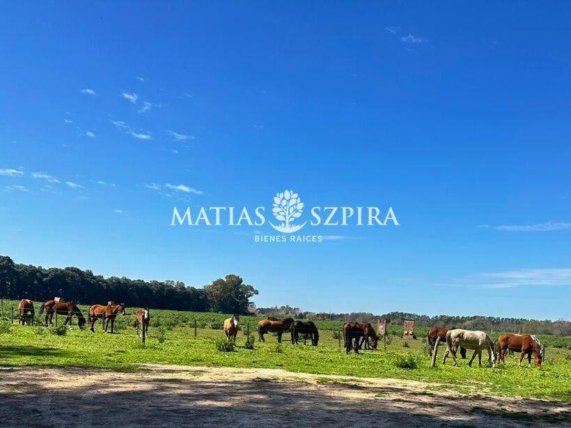 Foto de Lote central en venta, imagen 5