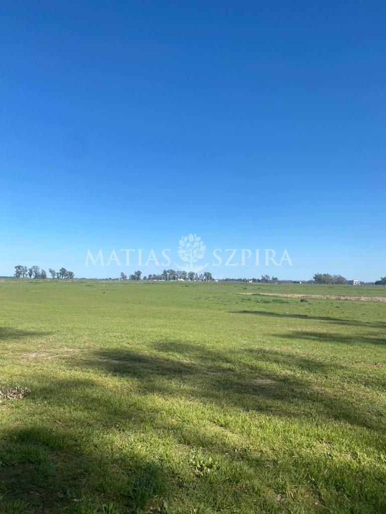 Lote. | Villa de Campo Los Tres Pinos - Luján 2
