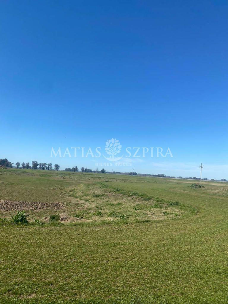 Lote. | Villa de Campo Los Tres Pinos - Luján 4