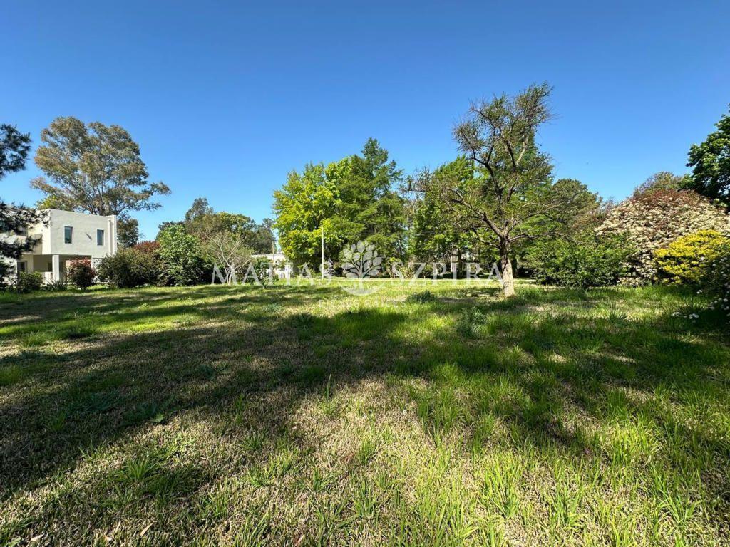 Lote . | San Diego - Moreno