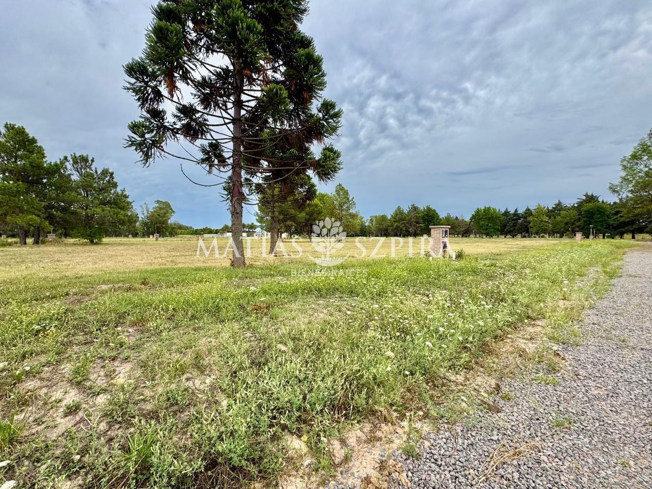 Foto de LOTE EN VENTA EN LA SERENA GENERAL RODRIGUEZ, imagen 3