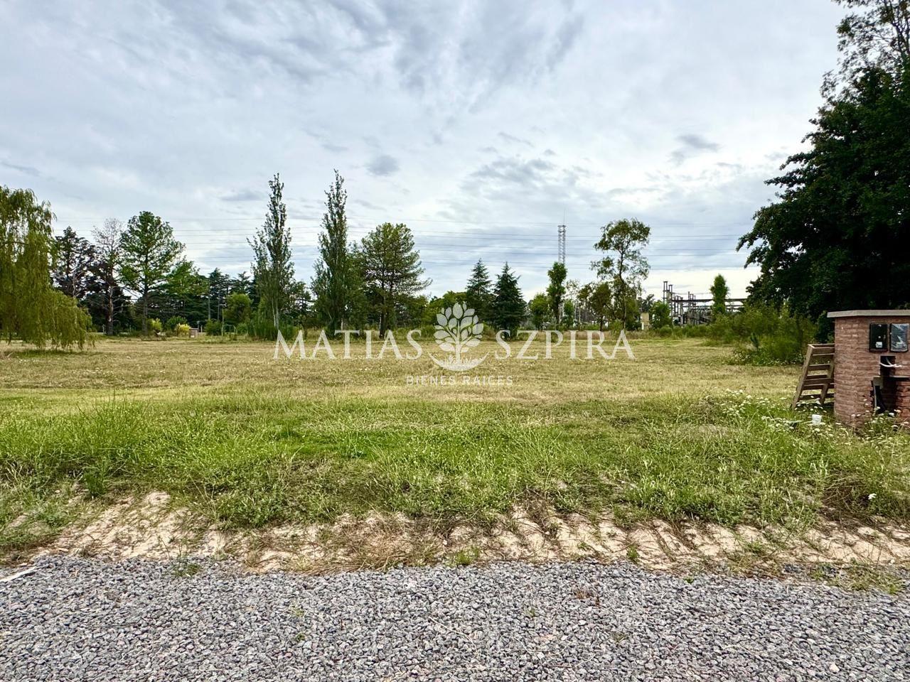 Foto de LOTE EN VENTA EN LA SERENA GENERAL RODRIGUEZ, imagen 2