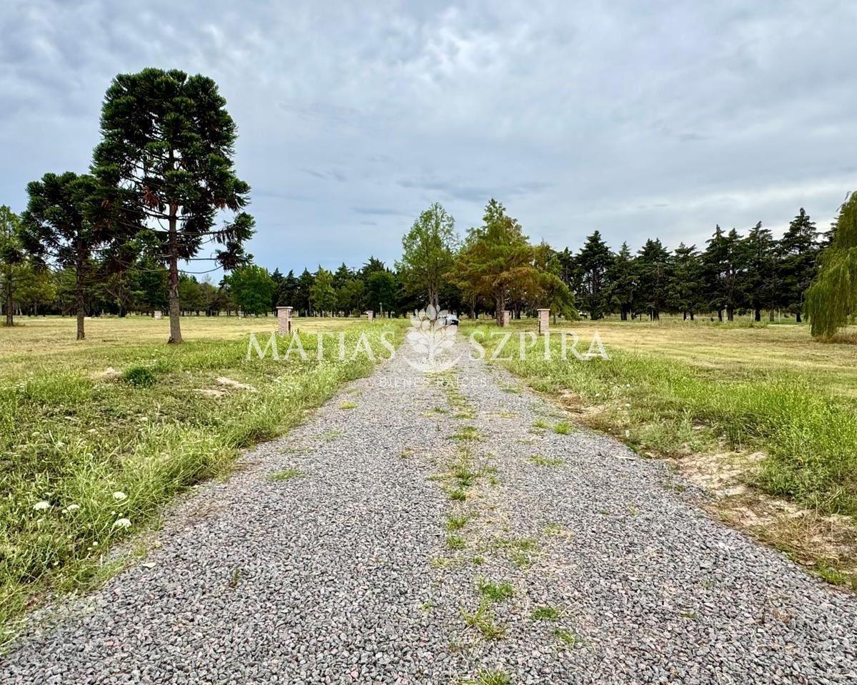 Foto de LOTE EN VENTA EN LA SERENA GENERAL RODRIGUEZ, imagen 5