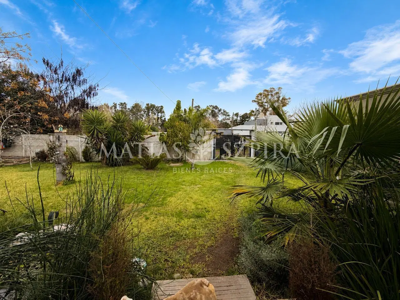 Casa Quinta 3