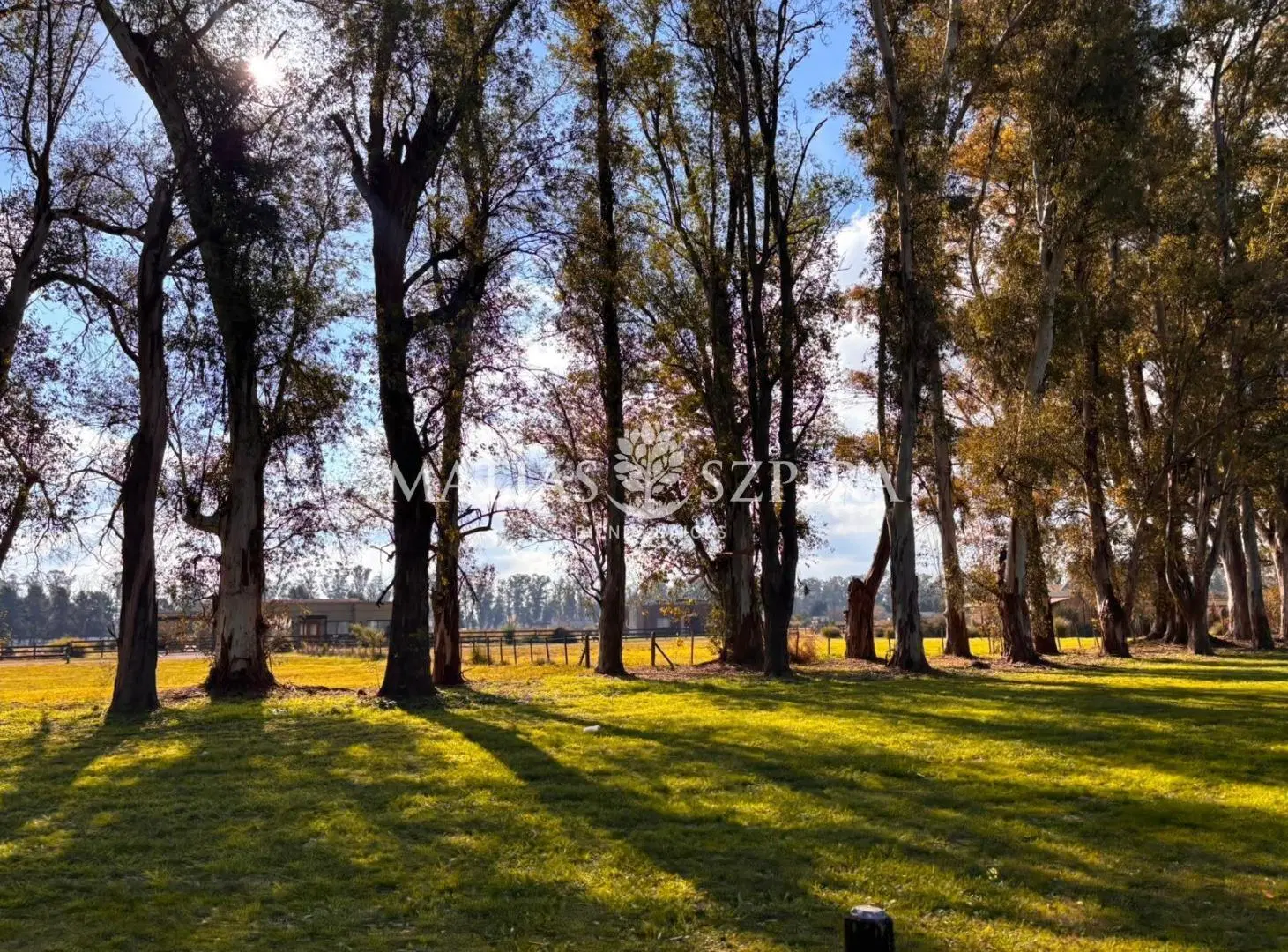 Terreno en Villa Ruiz 2