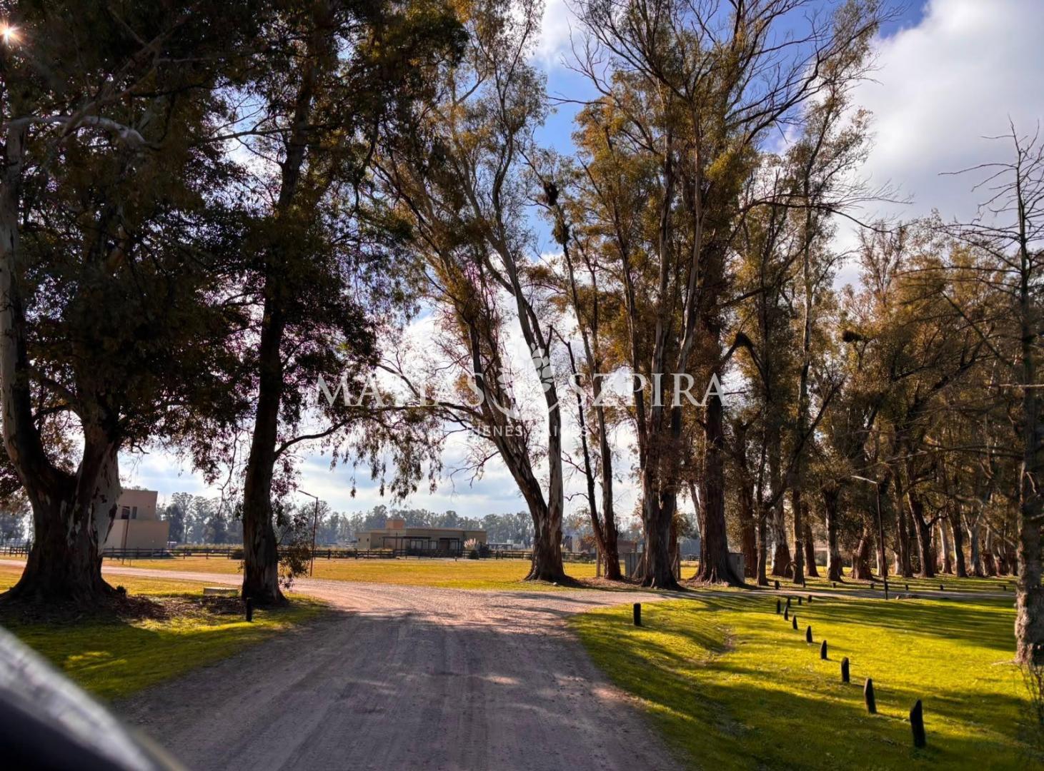Foto de Terreno en Villa Ruiz, imagen 5