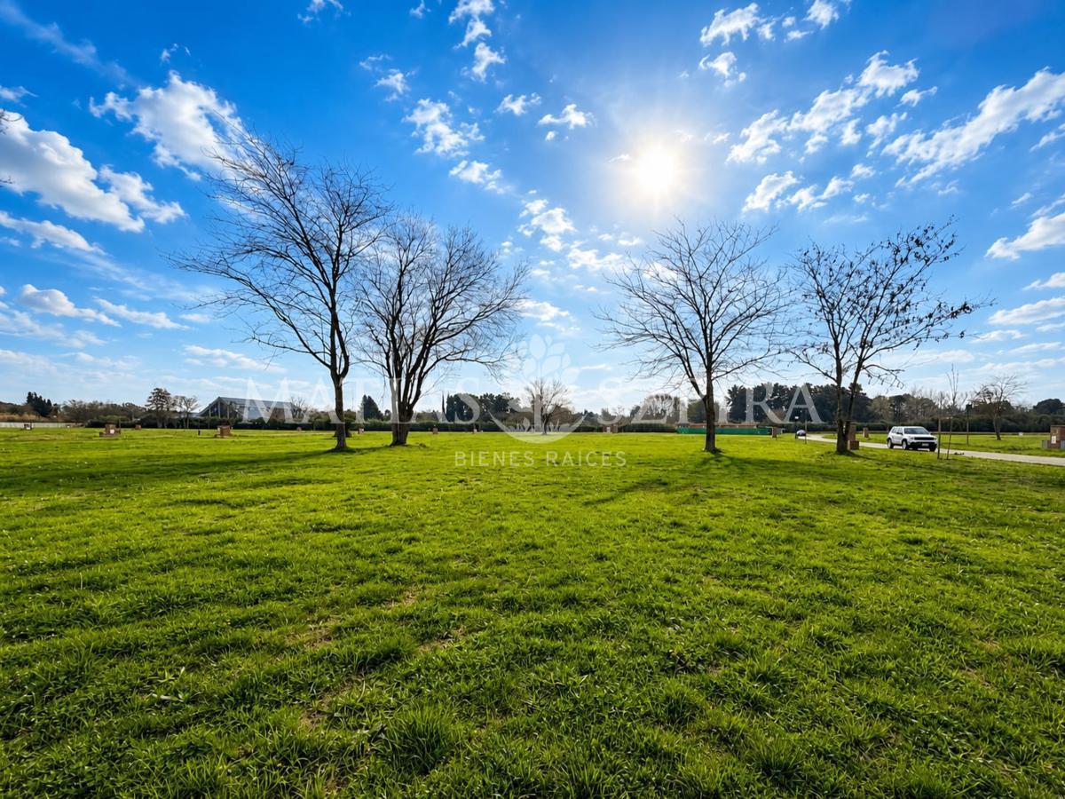 Foto de Lote en venta en Prados del Oeste II, imagen 2