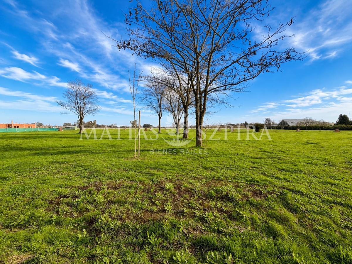 Foto de Lote en venta en Prados del Oeste II, imagen 4