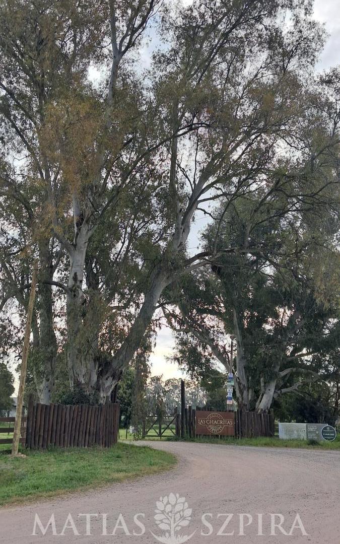 Foto de Terreno 40 x 71 en Cañuelas, Barrio abierto Las Chacritas, sin expensas, imagen 1