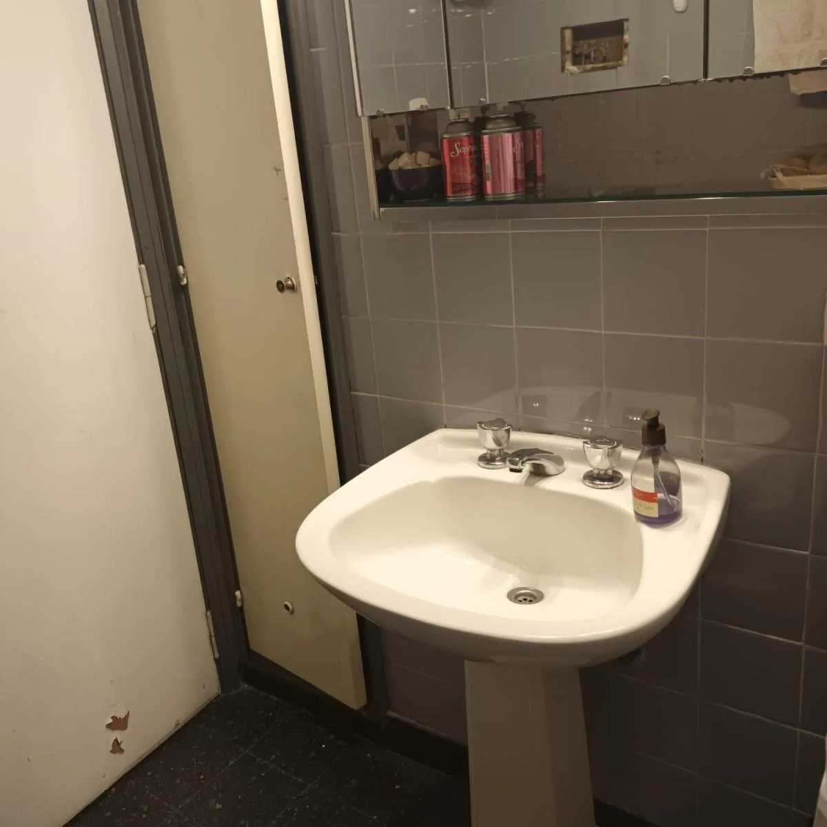 PH 3ambientes en Planta Baja con Garage y Patio Sin Expensas - Villa del Parque 2