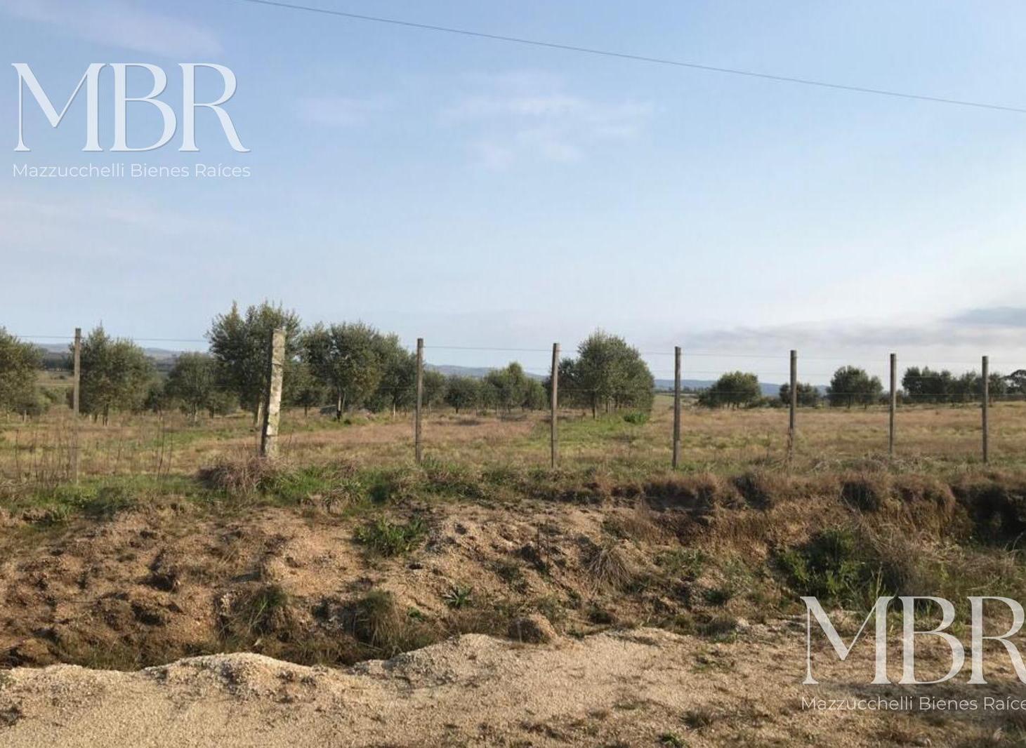 Foto de Campo en Garzon, imagen 3