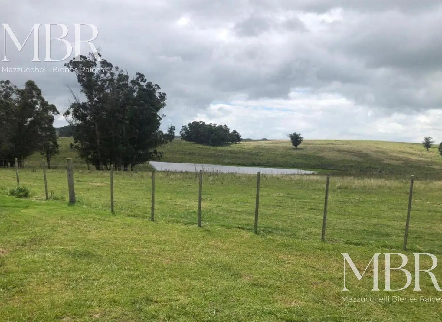 Campo en Garzon 3