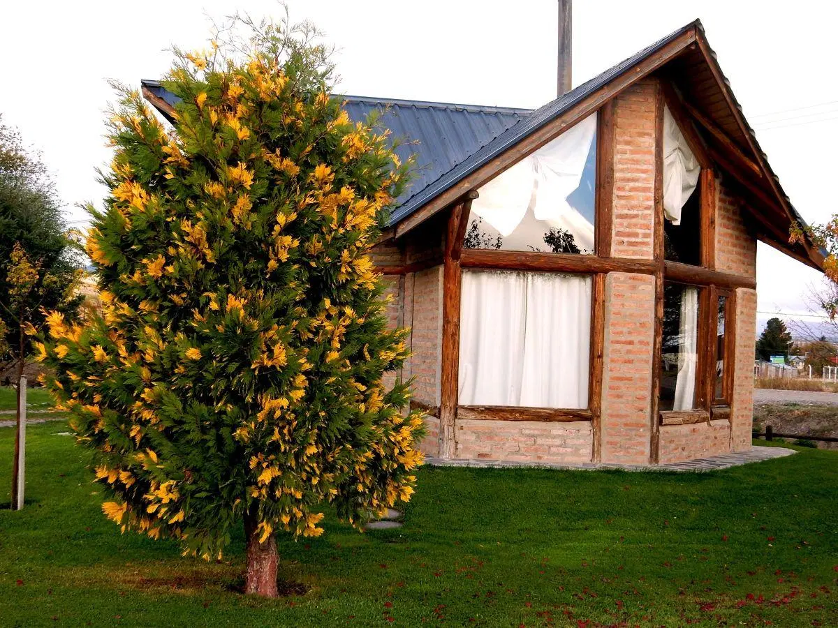 Excelente Cabañas en una planta con servicios 2