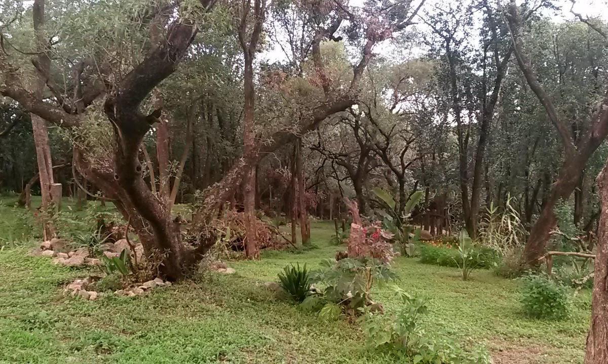 Foto de Salsipuedes c/ ESCRITURA 1600m2 Exc Ubic, imagen 2