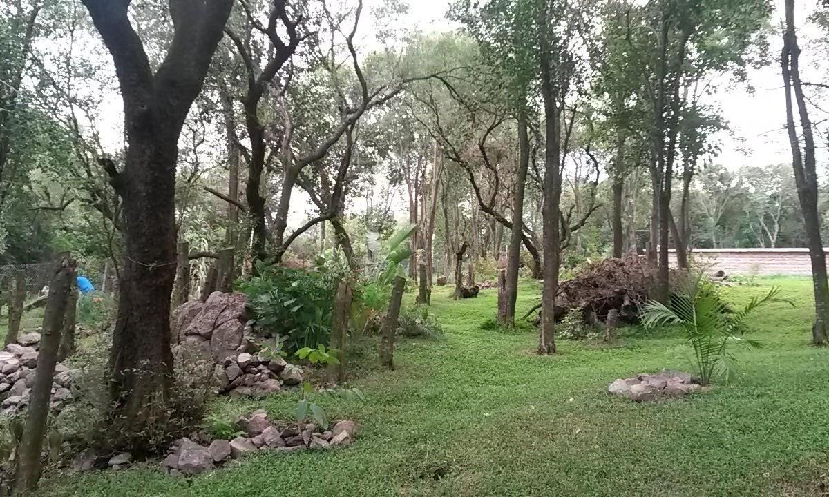 Foto de Salsipuedes c/ ESCRITURA 1600m2 Exc Ubic, imagen 3