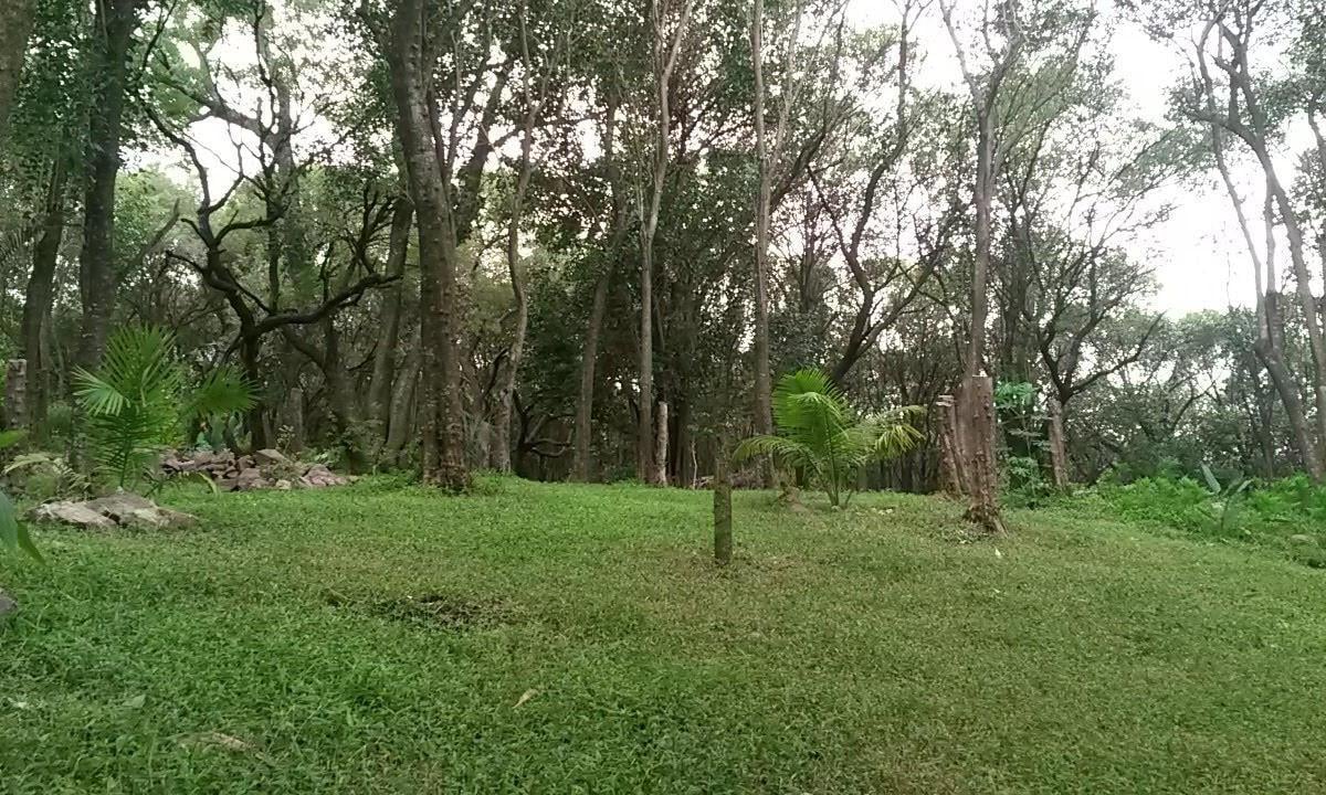 Foto de Salsipuedes c/ ESCRITURA 1600m2 Exc Ubic, imagen 4
