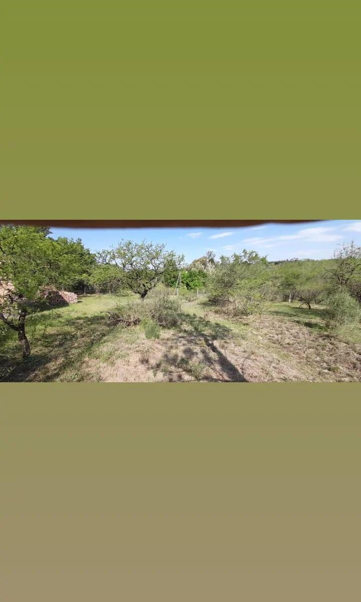 Los Aromos Terreno a m del Río Lugar Soñado 1