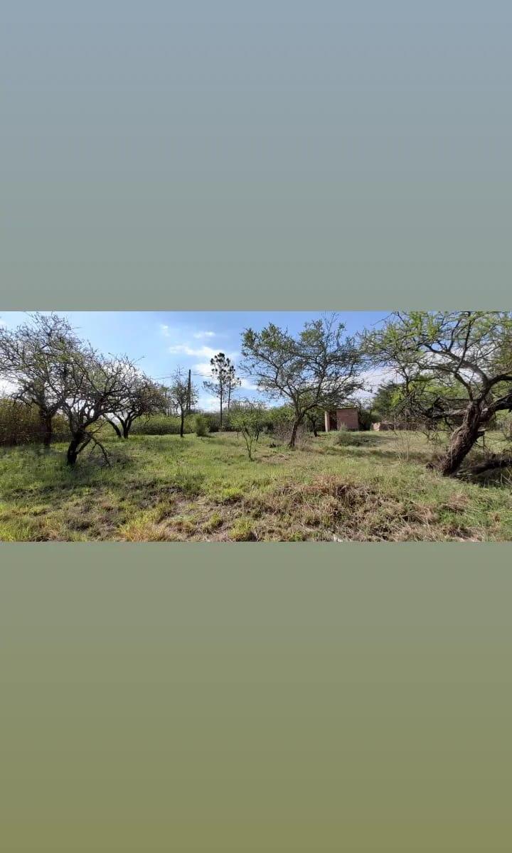 Los Aromos Terreno a m del Río Lugar Soñado 3